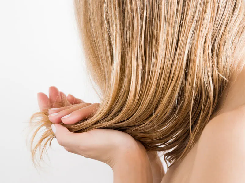 Greasy Hair Solutions with Practical Tips for Maintaining Freshness Throughout the Day