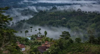 Polri & Forestry Ministry Unite to Protect Indonesia’s Forests