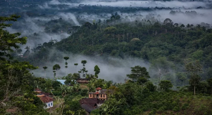 Polri & Forestry Ministry Unite to Protect Indonesia’s Forests