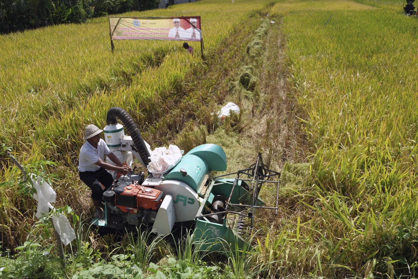 Indonesia’s Rice Surplus Cuts Cambodian Export Demand